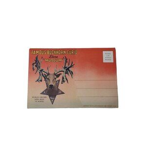 Vintage Postcard Fold Out Buckhorn Curio Store Museum Texas 1940s Unposted Color